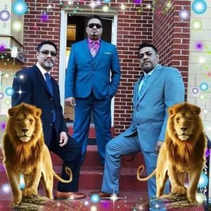 Meet your Posher, Ronnie